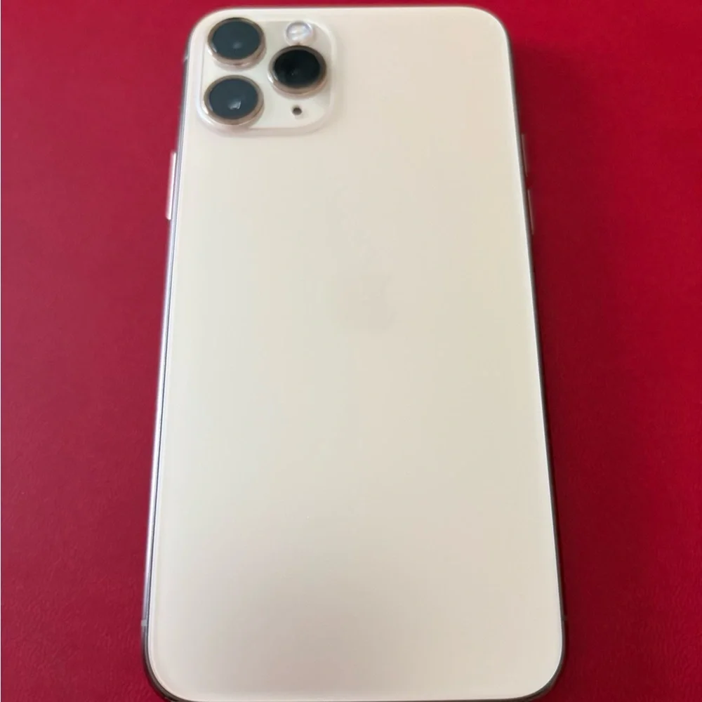 Apple iPhone 11 Pro Max White with Silver Accents